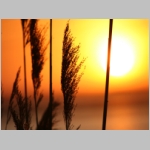 Vista Wallpapers 015.JPG